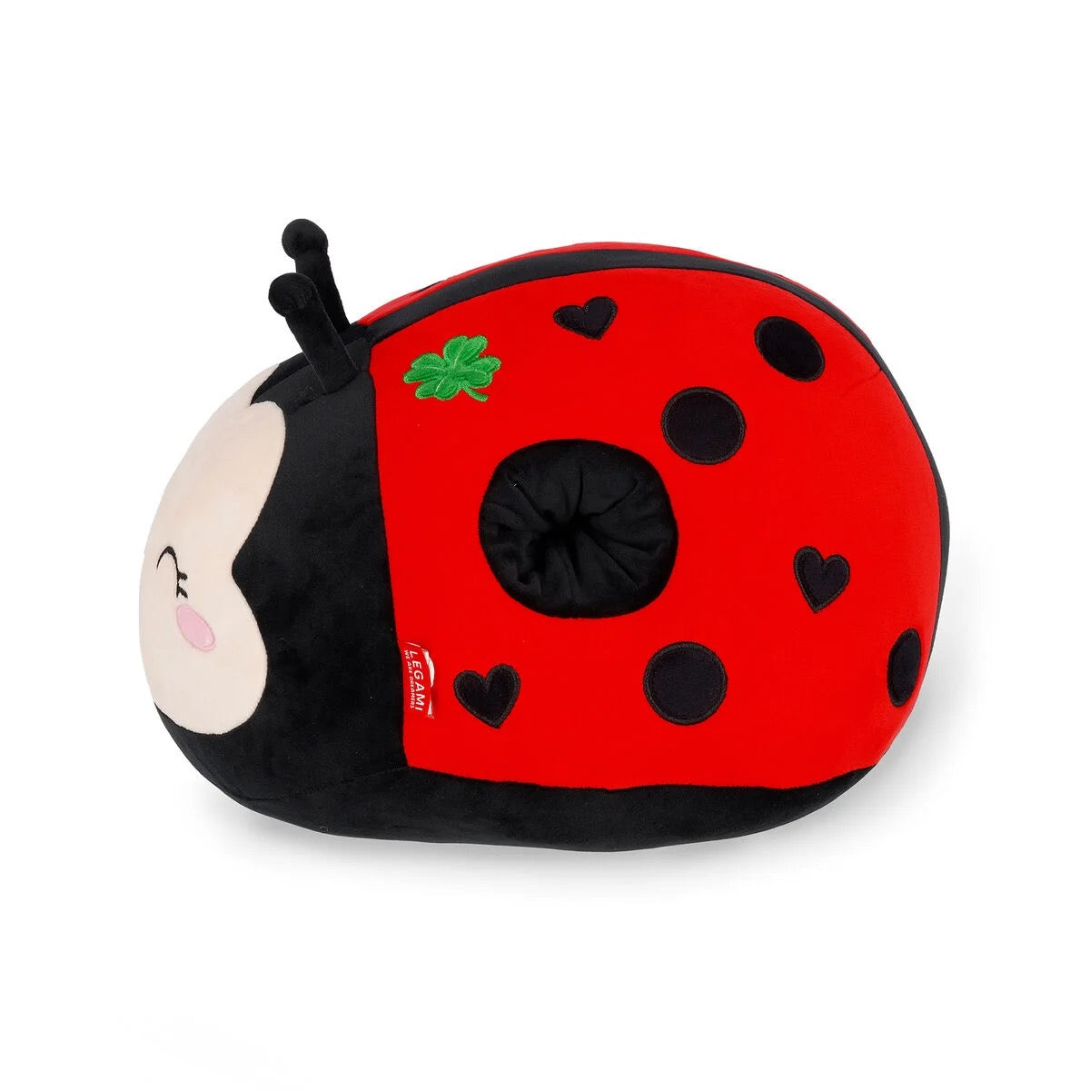 Kussen Ladybug - Superzacht!