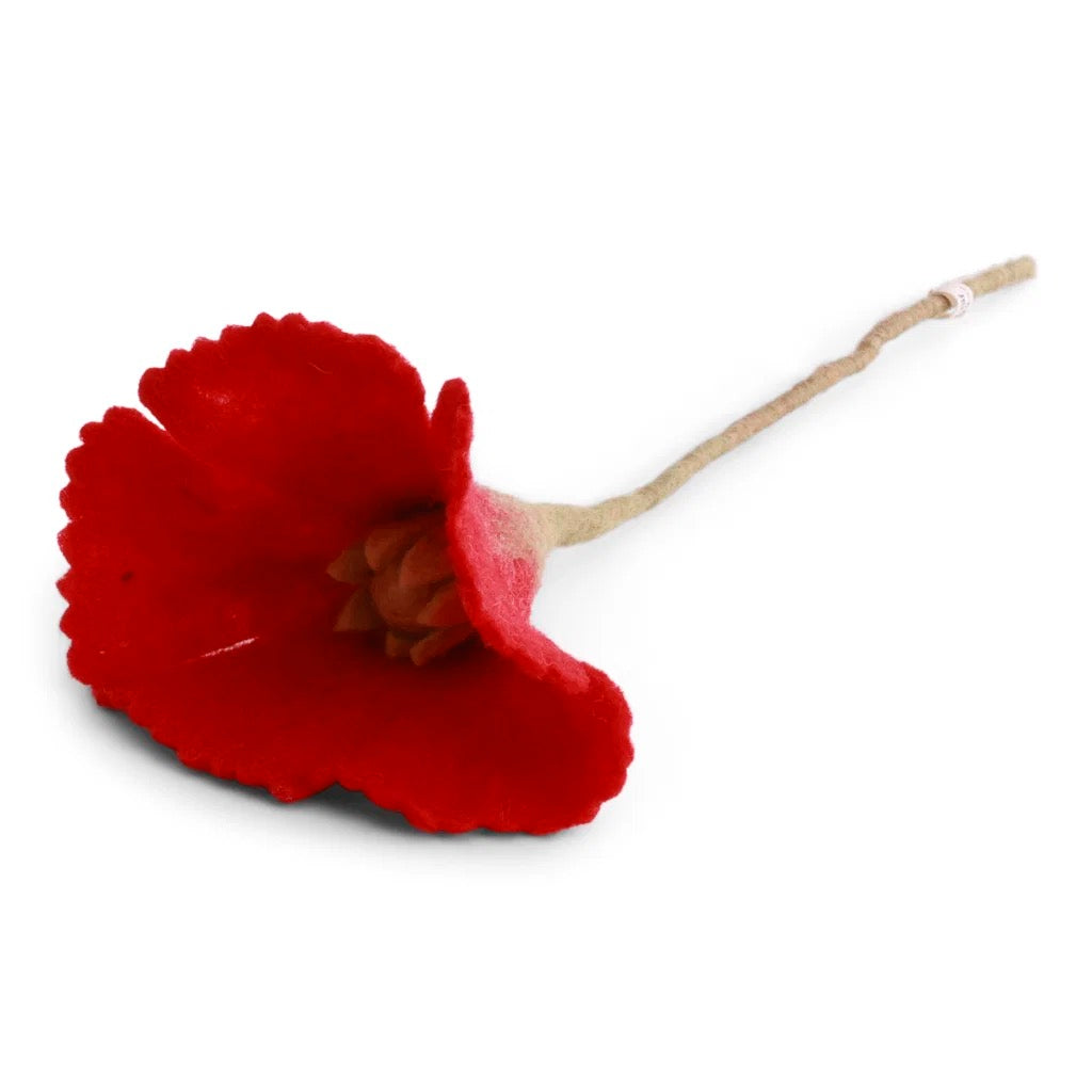 Poppy Flower - Mohnblume- verschiedene Farben