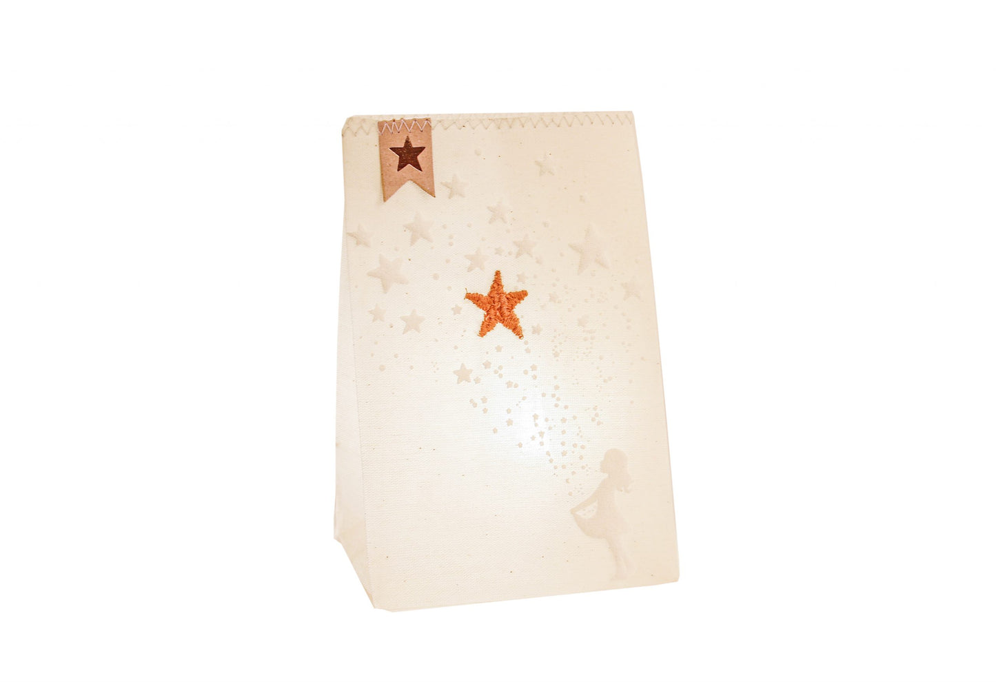 Winter Light Bags