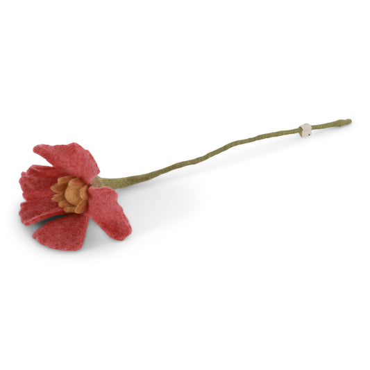 Poppy Flower - Poppy - various colors