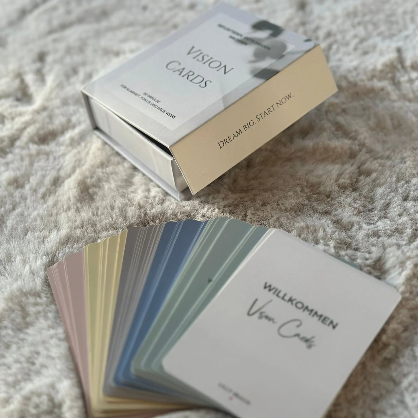 Vision Cards – 50 Inspirationskarten für Klarheit & Fokus (Lilly Braun)
