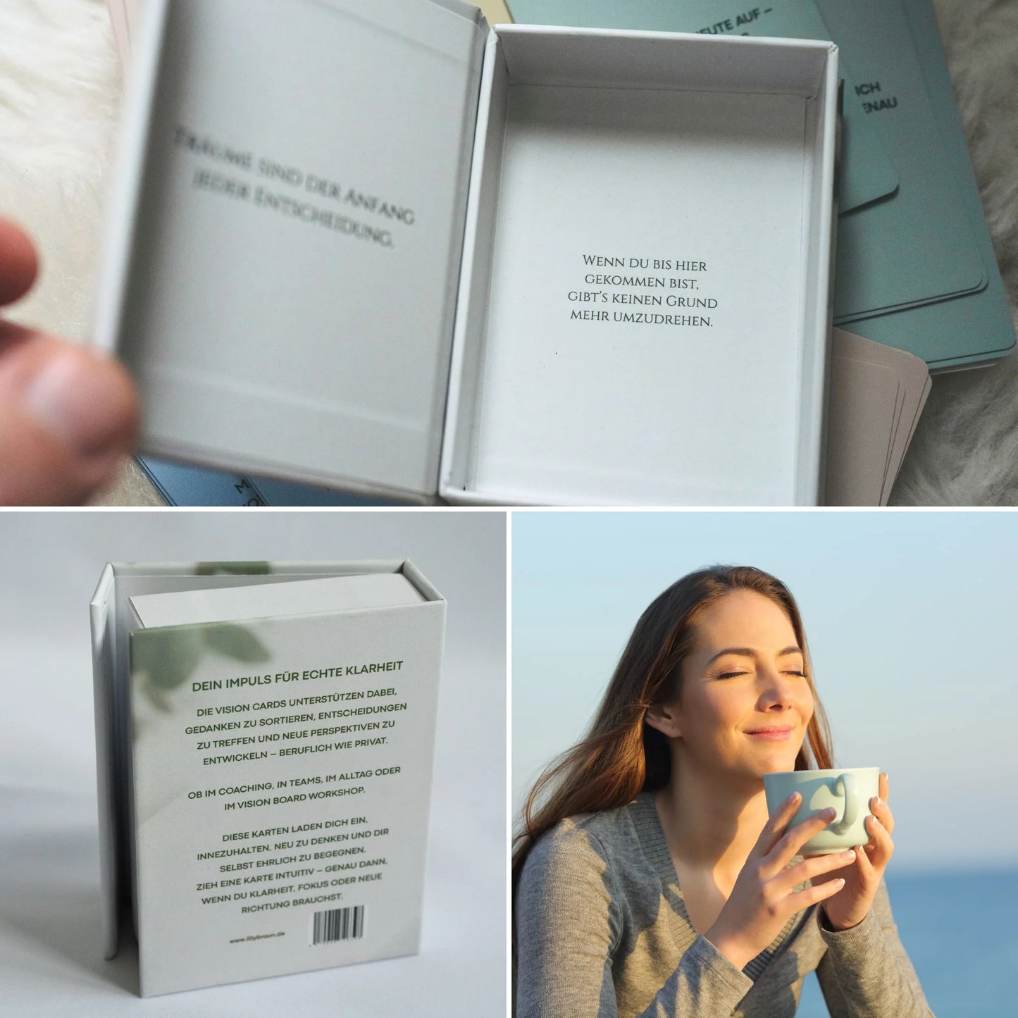 Vision Cards – 50 Inspirationskarten für Klarheit & Fokus (Lilly Braun)