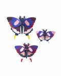 "Swallowtail Butterflies (3er Set)" groß