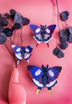 "Swallowtail Butterflies (3er Set)" groß