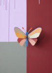 "Cleo Butterfly" medium