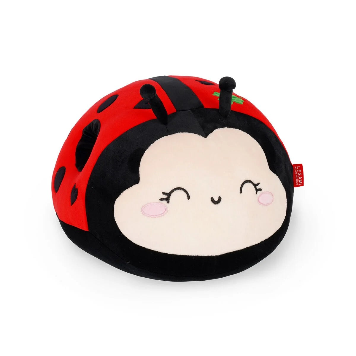 Kussen Ladybug - Superzacht!