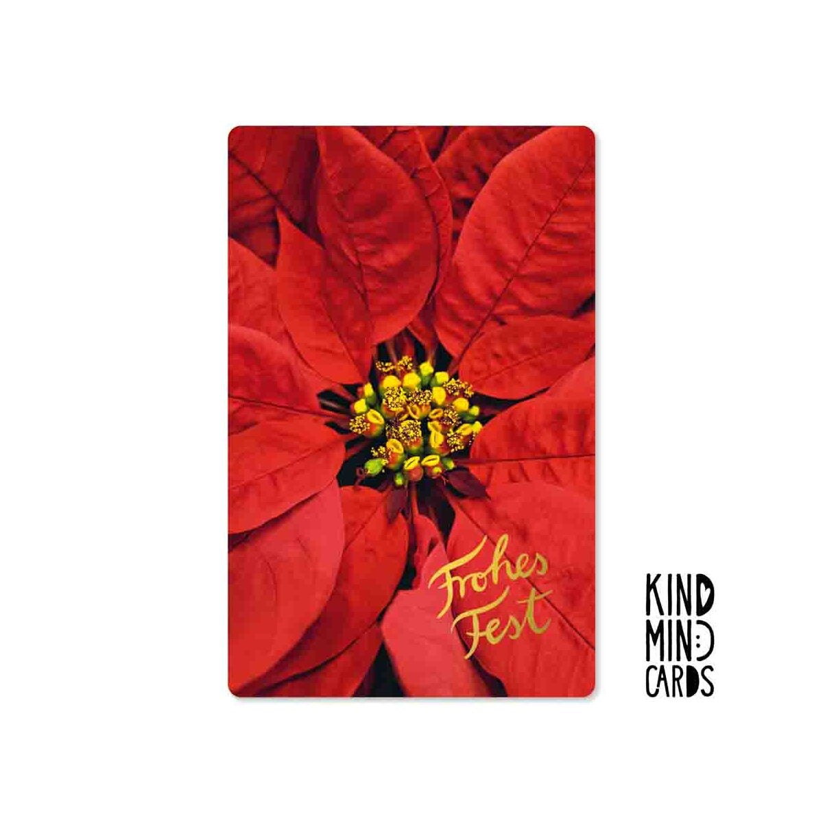 Kind Mind Card "Frohes Fest Weihnachtsstern"