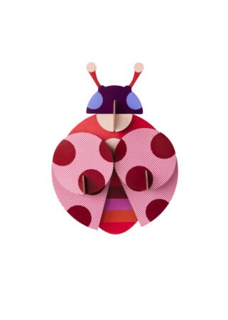 Dotted Lady