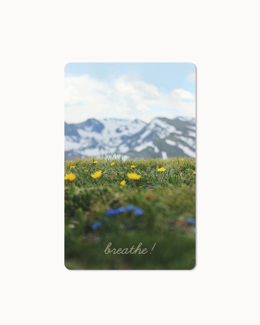 Lunacard Postkarte "Alm"